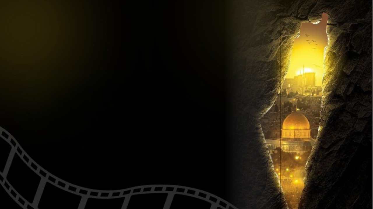 Palestine Festival Cover